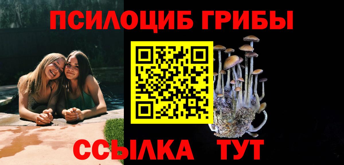 Псилоцибиновые грибы Magic Shrooms Павловский Посад