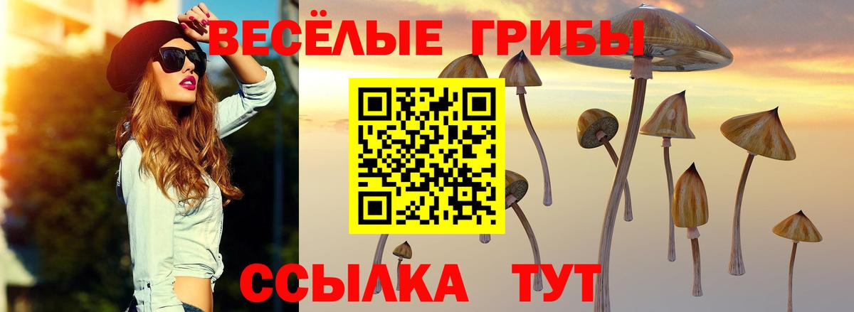 Галлюциногенные грибы прущие грибы  как найти   Вход с VPN  Павловский Посад  Псилоцибиновые грибы Cubensis 